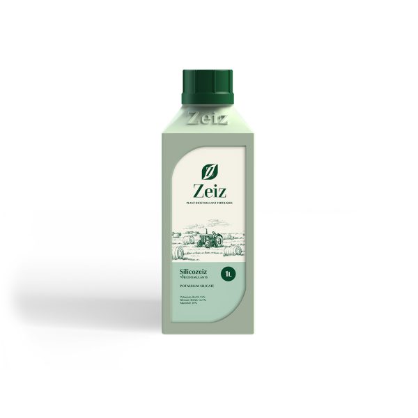 Silicozeiz / سیلیکوزایز
