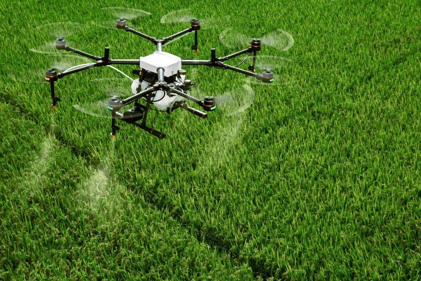 spraying-sugar-min